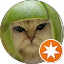 J Lander Avatar