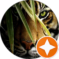 Ajay Parag Avatar