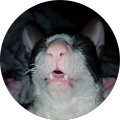 Claire Walker Avatar